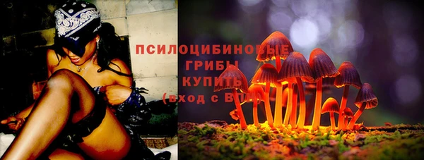 таблы Няндома