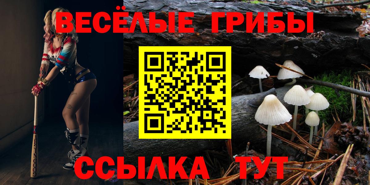 Псилоцибиновые грибы прущие грибы Партизанск
