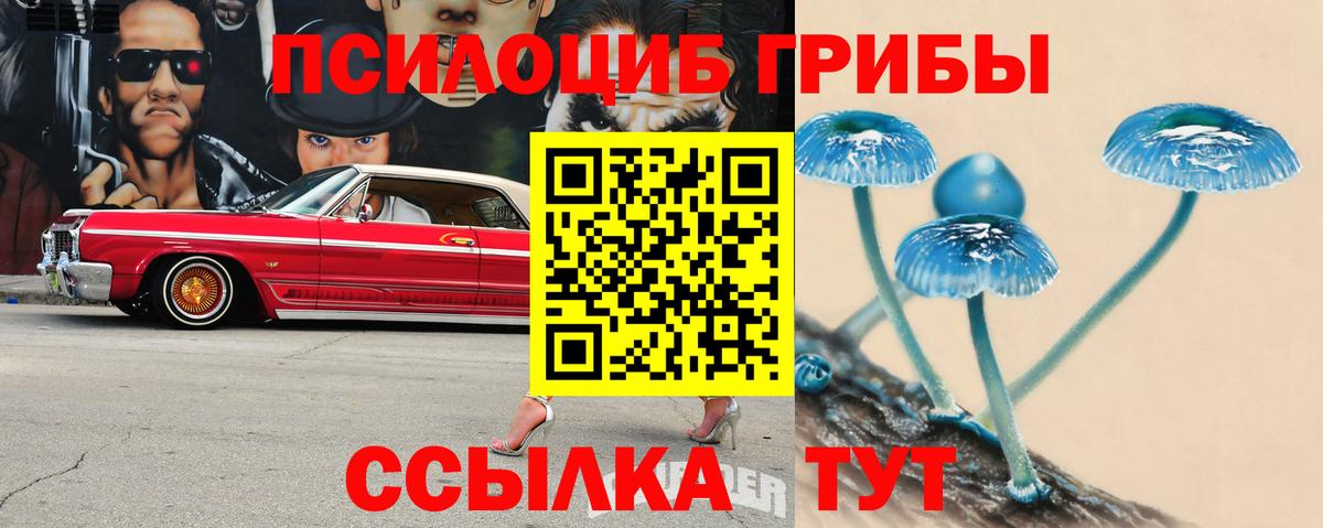 Галлюциногенные грибы мицелий  Вход с VPN  Партизанск 